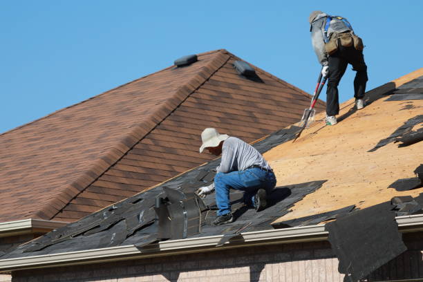 Best Gutter Replacement  in Clanton, AL
