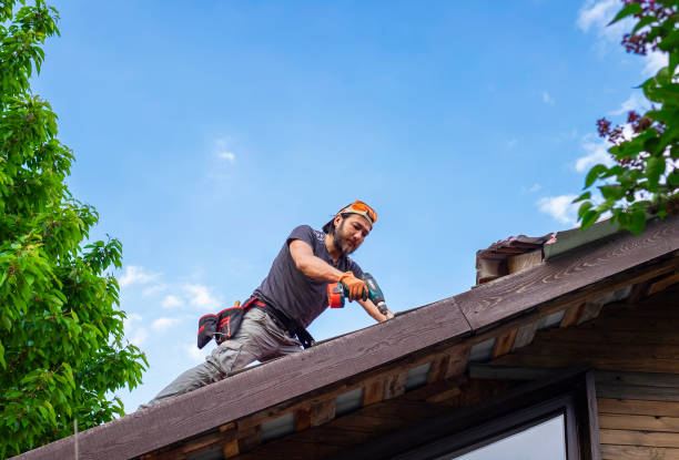 Best Roof Ventilation Installation  in Clanton, AL